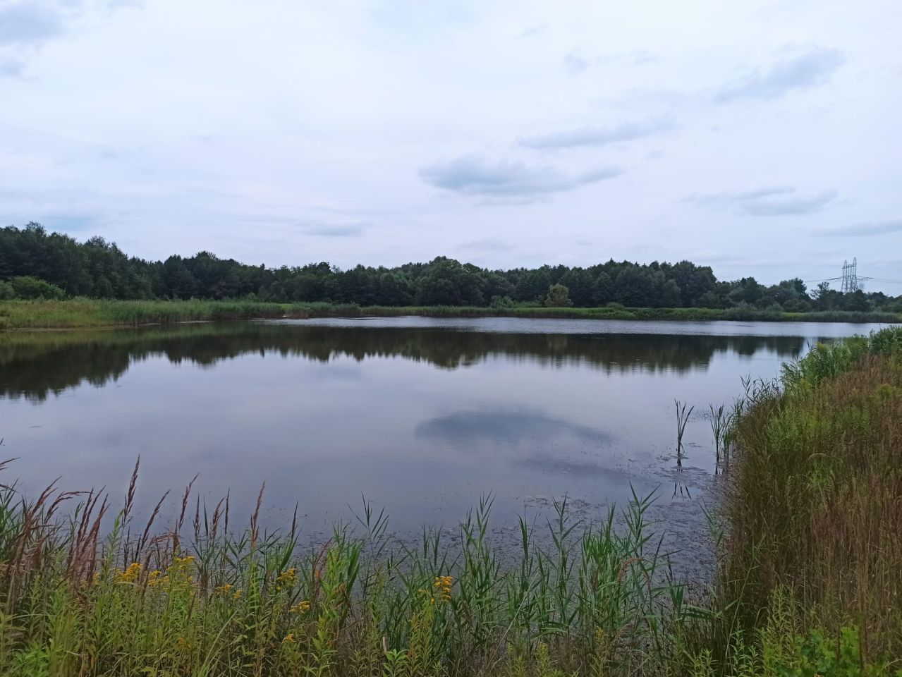 Działka inwestycyjna Nowa Grobla Hamernia. Zdjęcie 13