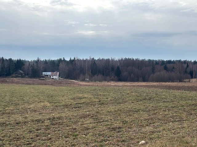 Działka rolna Czarna Wieś Kościelna, ul. Zacisze. Zdjęcie 1