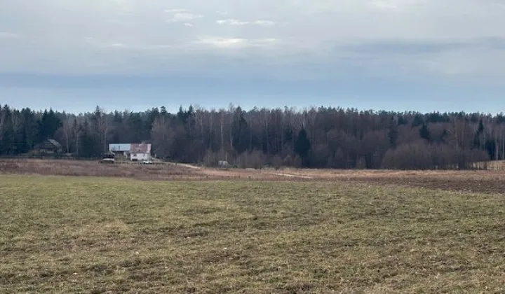 Działka rolna Czarna Wieś Kościelna, ul. Zacisze