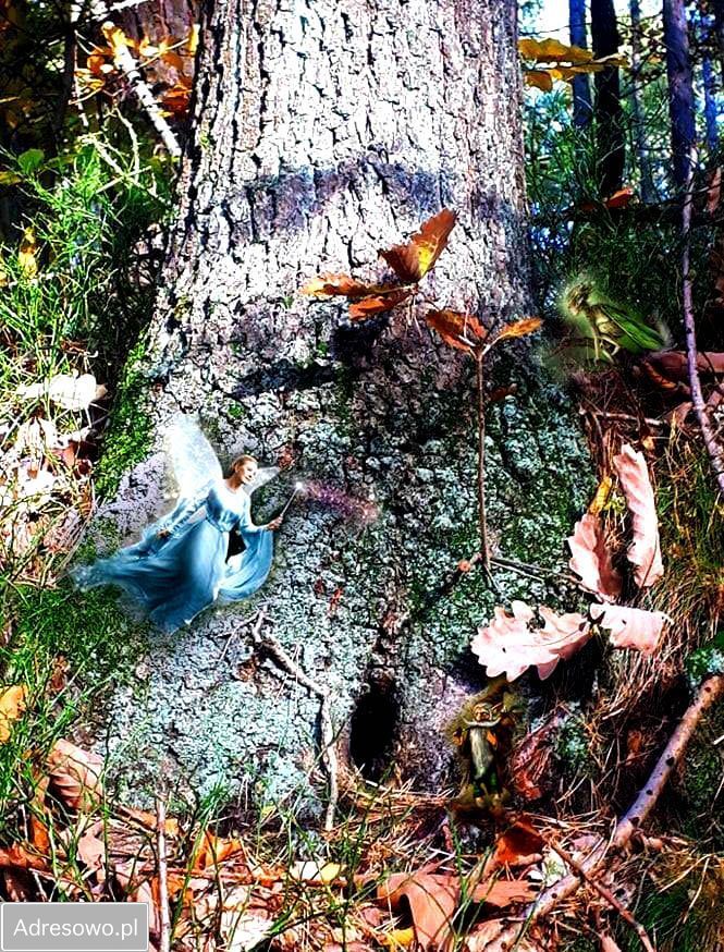 dom wolnostojący, 4 pokoje Sobótka Górka. Zdjęcie 3