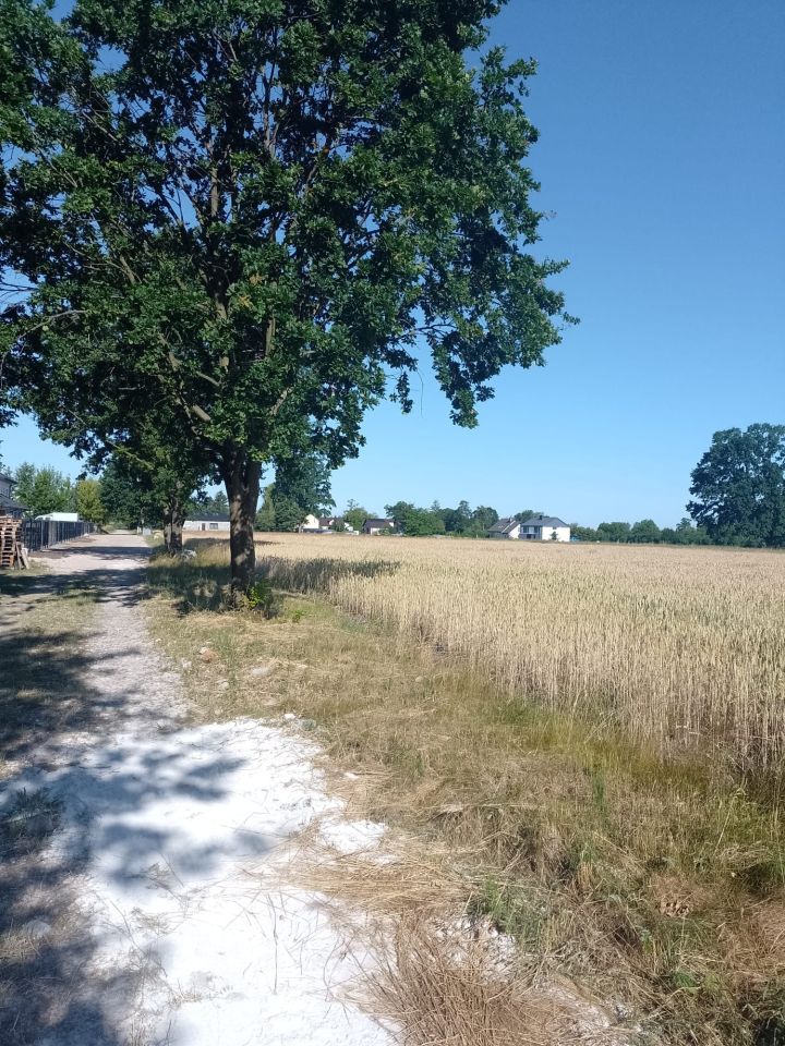 Działka budowlana Chrzanów Mały, ul. Pistacjowa