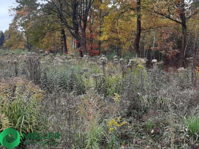 Działka budowlana Rusiec. Zdjęcie 3