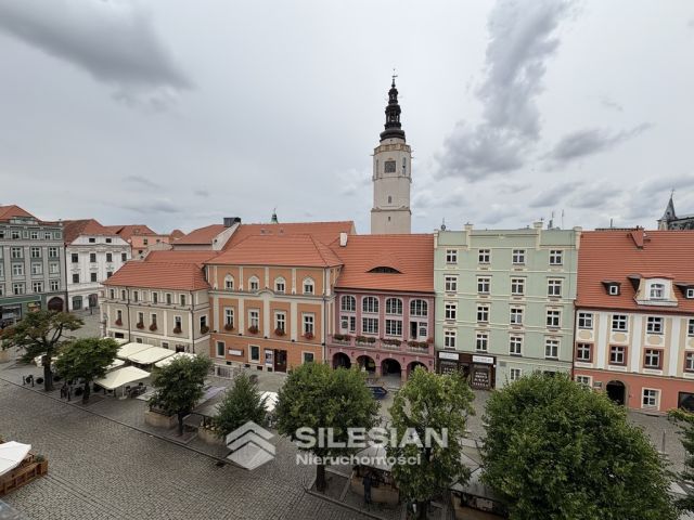 Mieszkanie 2-pokojowe Świdnica Centrum, rynek Rynek. Zdjęcie 9