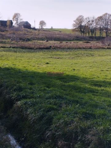 Działka siedliskowa Pstrążna. Zdjęcie 6