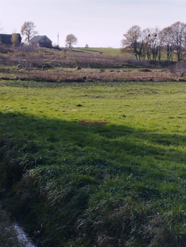 Działka siedliskowa Pstrążna. Zdjęcie 6