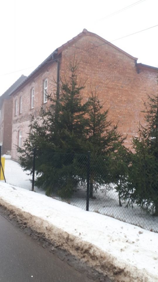 budynek wielorodzinny, 10 pokoi Miasteczko Śląskie Żyglinek, ul. ks. Franciszka Wyciślika. Zdjęcie 2