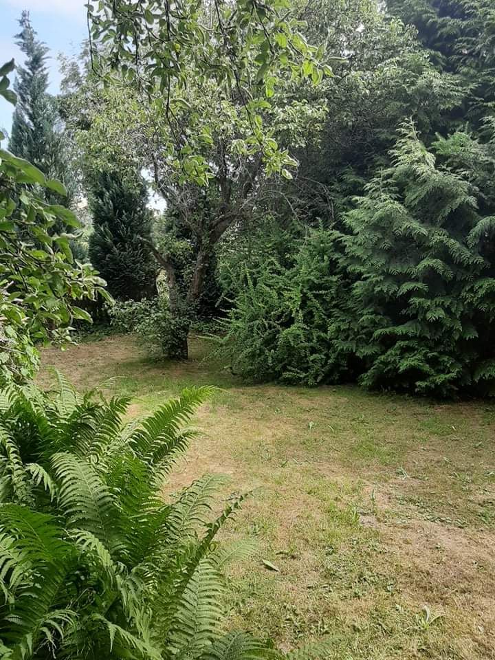 Działka rod Gdańsk Złota Karczma, ul. mjr. Mieczysława Słabego. Zdjęcie 4