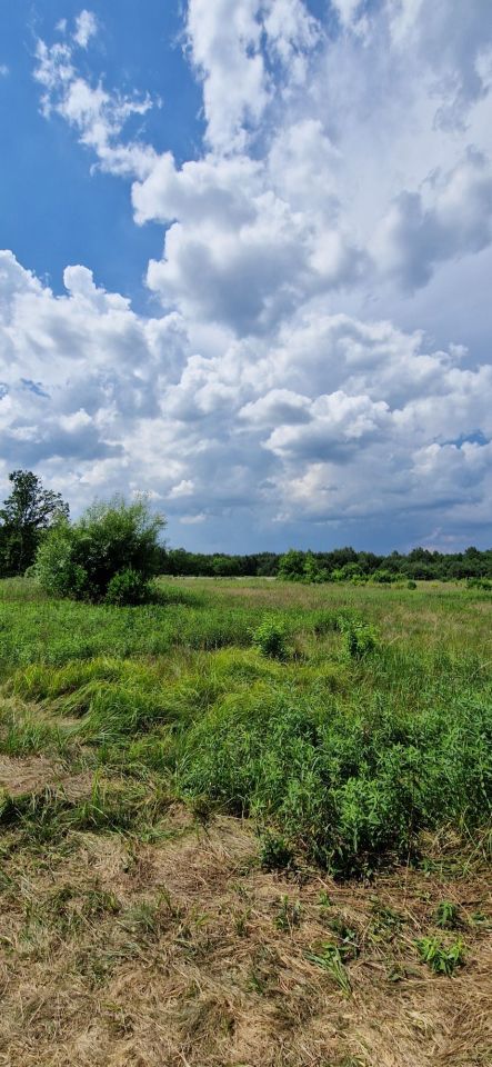 Działka siedliskowa Bukowinka. Zdjęcie 7