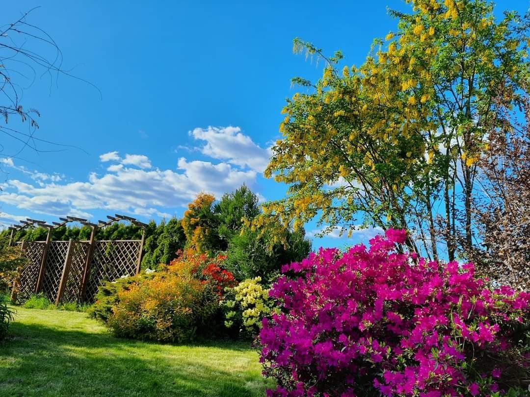 Działka rekreacyjna Wawrów. Zdjęcie 7