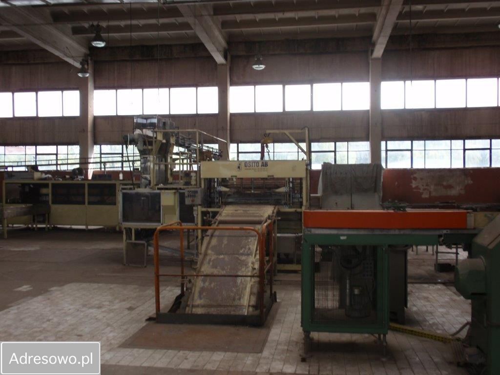 Hala/magazyn Ząbkowice Śląskie. Zdjęcie 18