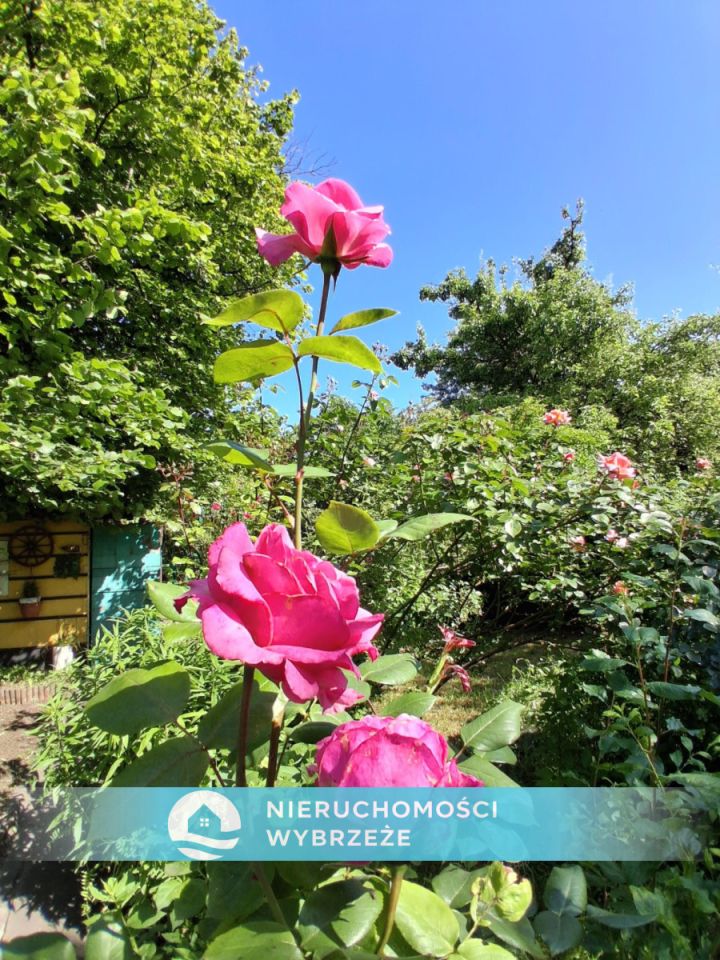 Działka rod Gdańsk Nowy Port, ul. Wyzwolenia. Zdjęcie 8