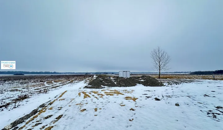 Działka rolna Celiny