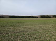 Działka rolna Wierzbica-Kolonia, Ługi. Zdjęcie 1