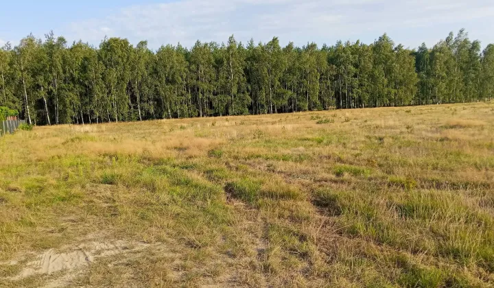 Działka budowlana Zielenie