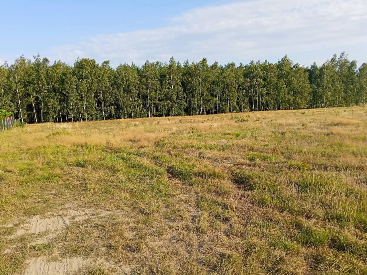 Działka budowlana Zielenie. Zdjęcie 1