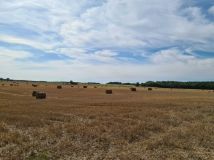 Działka Słowikowo. Zdjęcie 4