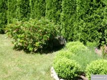 Mieszkanie 2-pokojowe Parzyn. Zdjęcie 4