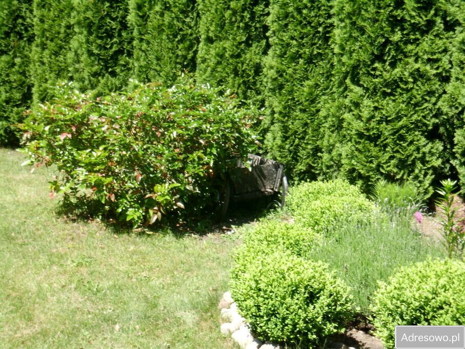 Mieszkanie 2-pokojowe Parzyn. Zdjęcie 5