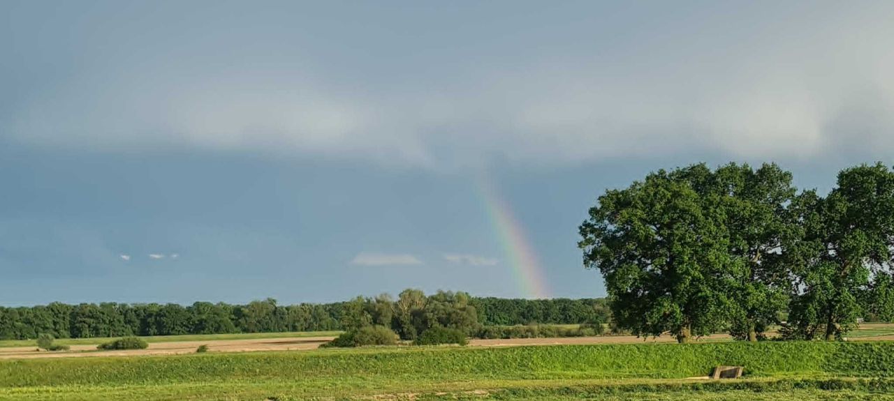 Działka rod Nowa Sól. Zdjęcie 5