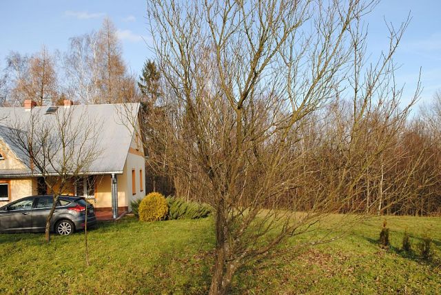 dom wolnostojący, 3 pokoje Szerzyny. Zdjęcie 13