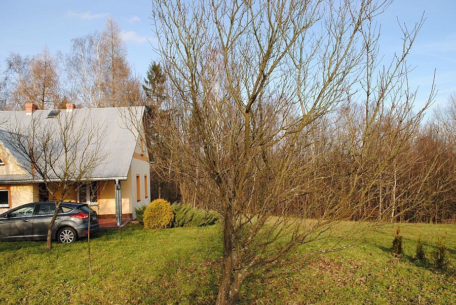 dom wolnostojący, 3 pokoje Szerzyny. Zdjęcie 13