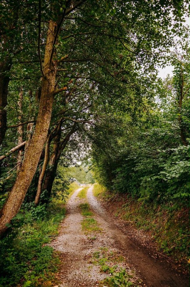 Działka rekreacyjna Radziechowy. Zdjęcie 7