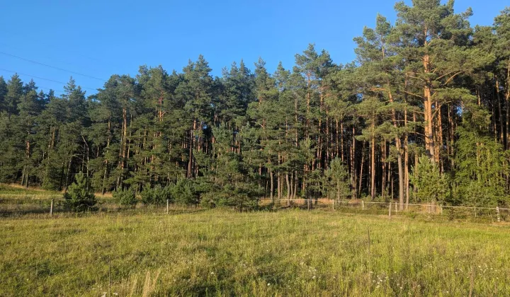 Działka budowlana Gostomko, ul. Modrzewiowa