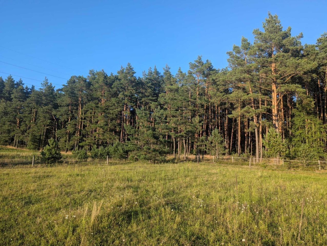 Działka budowlana Gostomko, ul. Modrzewiowa. Zdjęcie 1