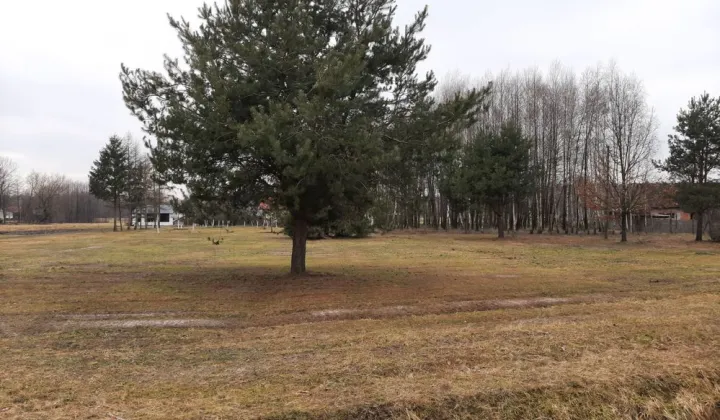 Działka budowlana Jagodnik
