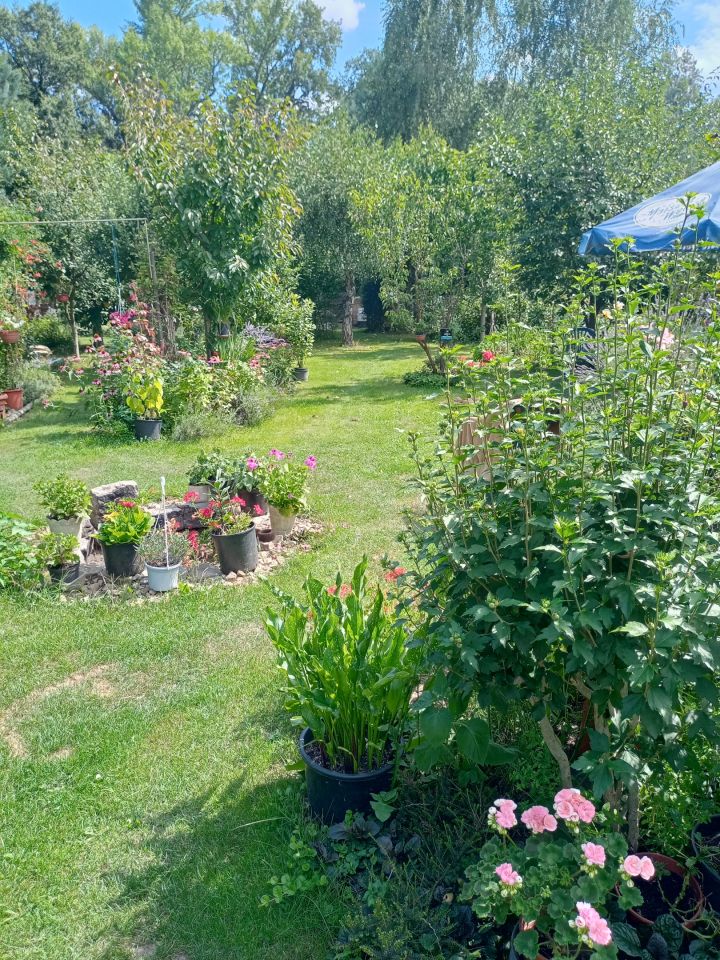 Działka rekreacyjna Wrocław Bierdzany, ul. Nizinna. Zdjęcie 29