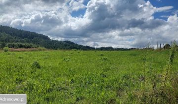 Działka rolno-budowlana Zachełmna