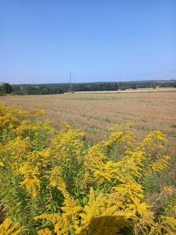 Działka budowlana Uniegoszcz, ul. Dolna. Zdjęcie 1