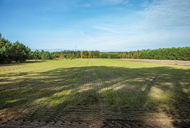 Działka inna Żołędowo. Zdjęcie 2