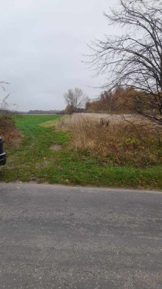 Działka rekreacyjna Barzowice. Zdjęcie 15