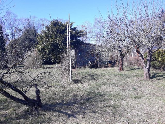 Działka rod Gorzów Wielkopolski. Zdjęcie 1