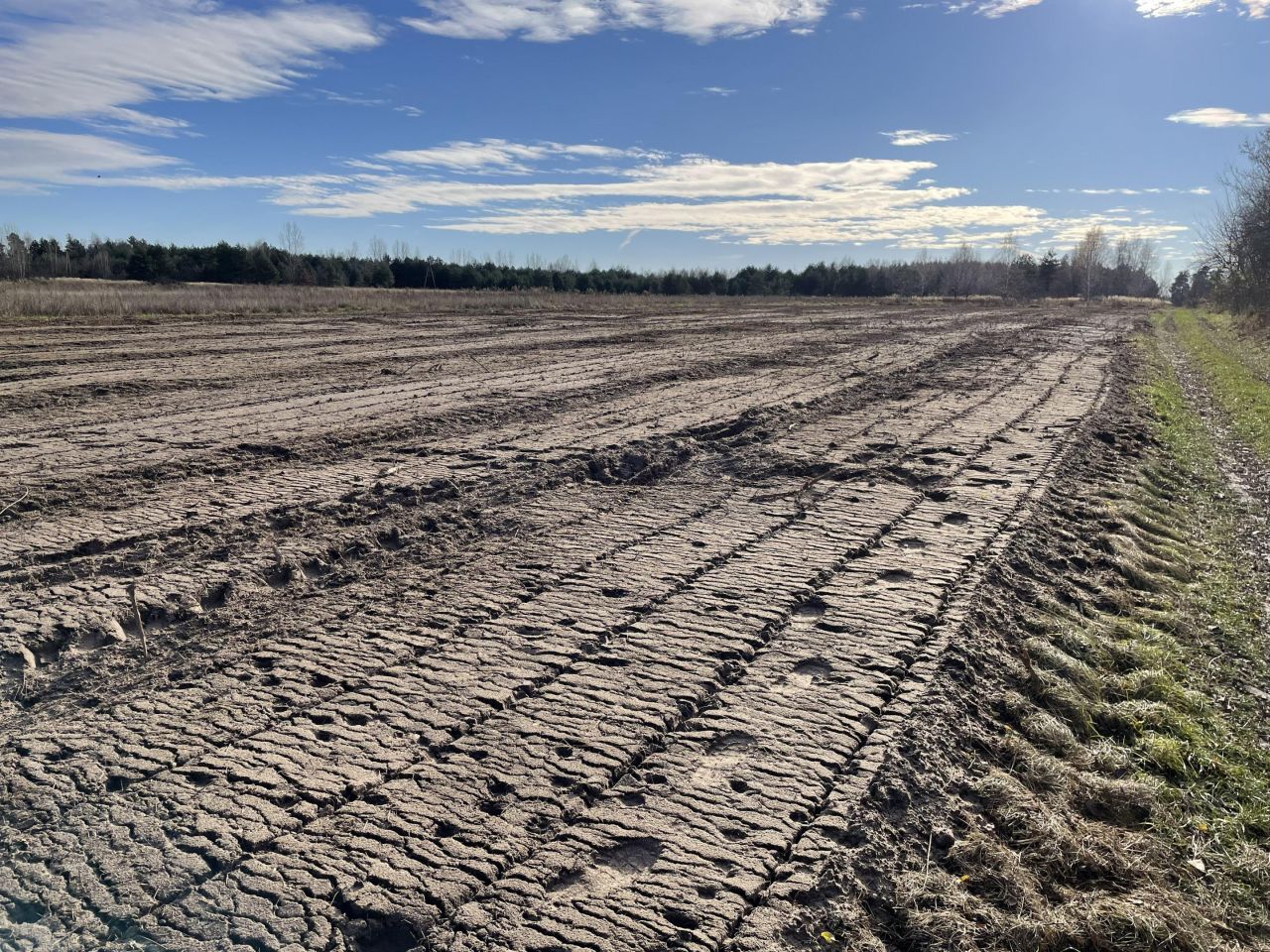 Działka budowlana Jastrząb, ul. Konopnickiej. Zdjęcie 9