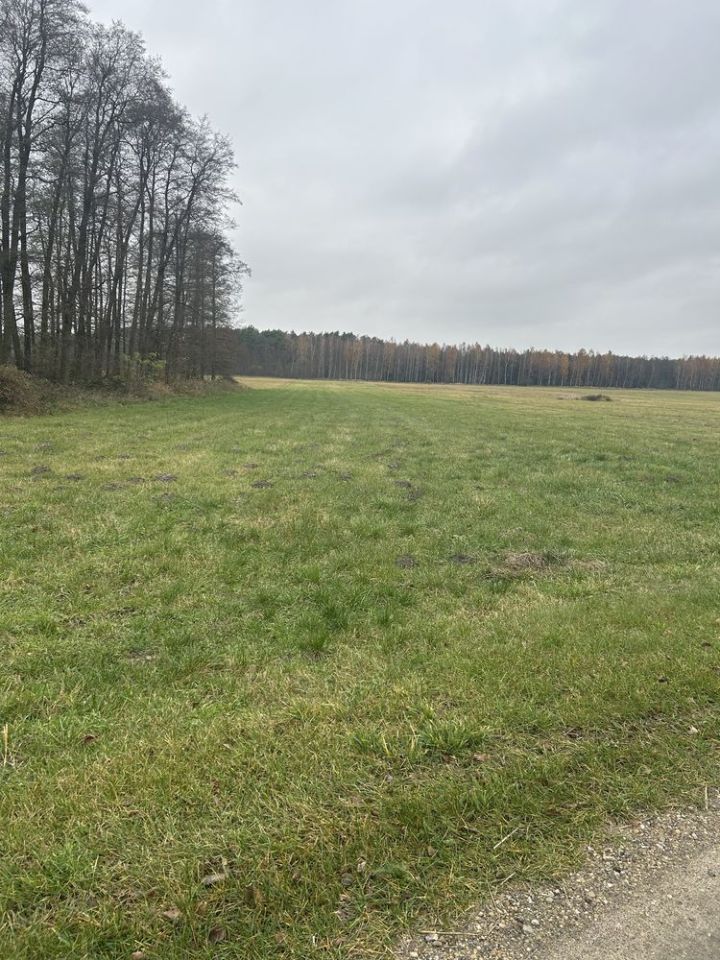 Działka rolno-budowlana Wrzeszczewice Nowe. Zdjęcie 4