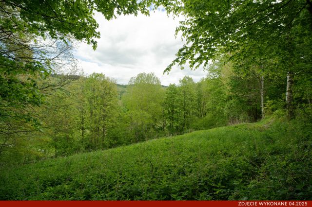 Działka budowlana Konradów. Zdjęcie 5