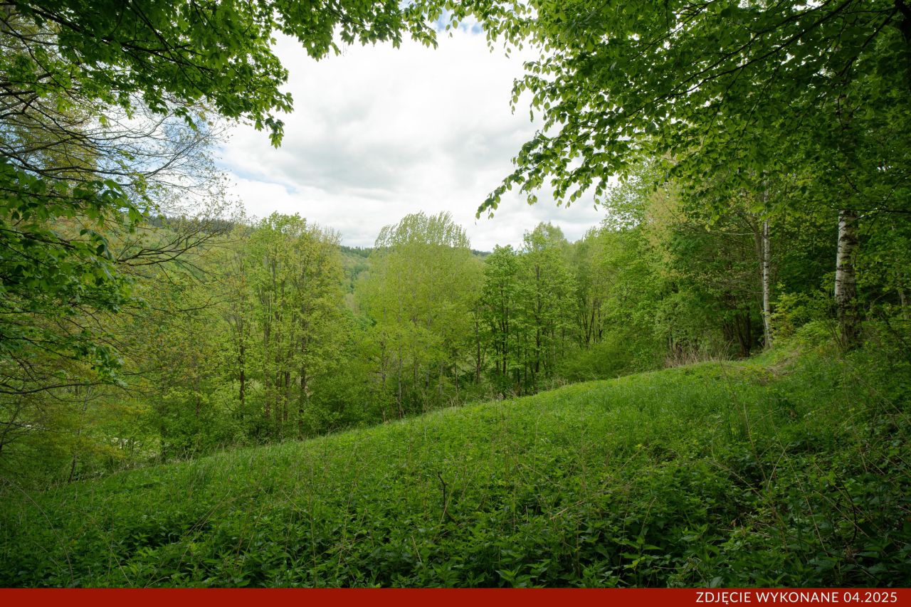 Działka budowlana Konradów. Zdjęcie 5