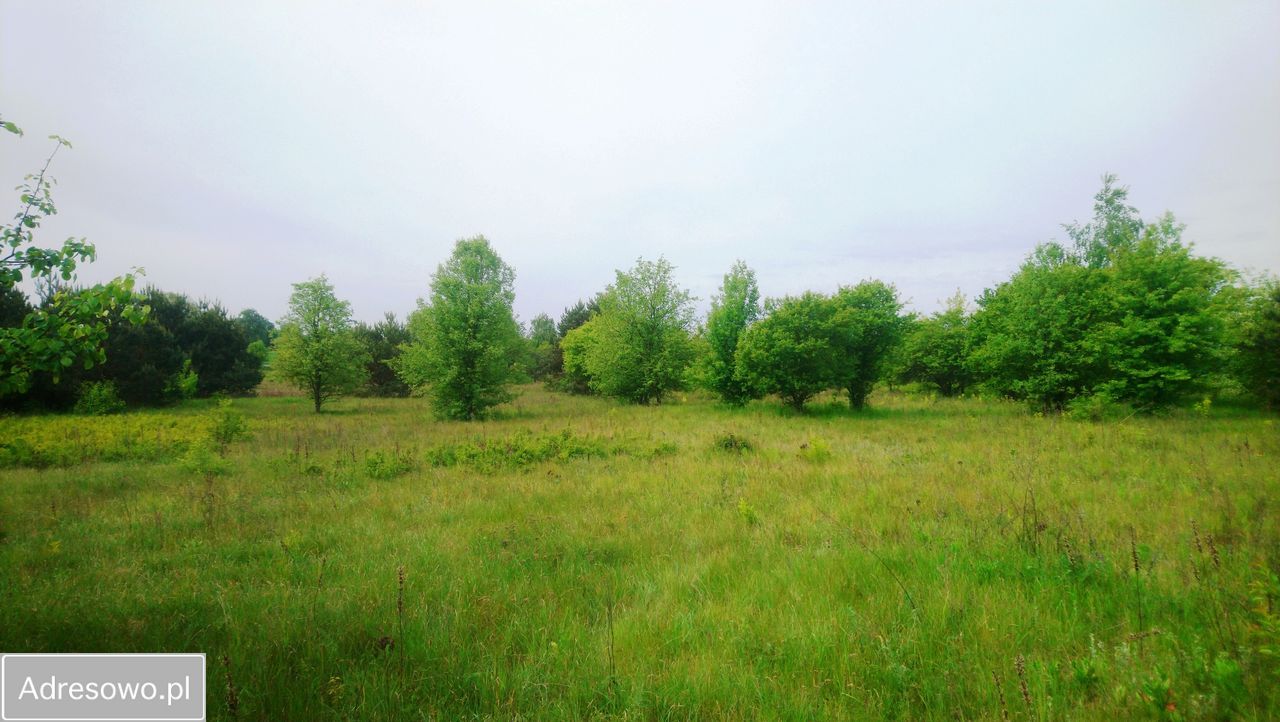 Działka budowlana Popielżyn-Zawady. Zdjęcie 4
