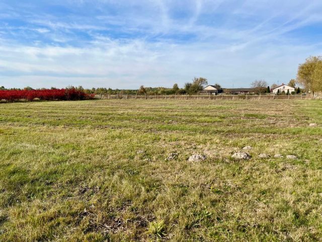 Działka budowlana Sierakowice Lewe. Zdjęcie 1