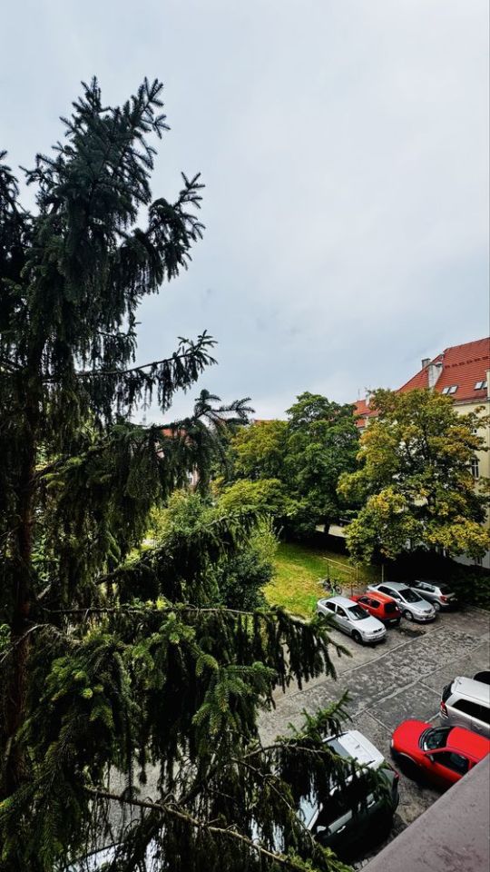 Mieszkanie 2-pokojowe Wrocław Śródmieście. Zdjęcie 6