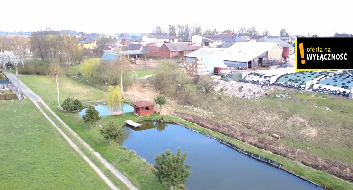 Działka rolno-budowlana Dzimierz. Zdjęcie 5