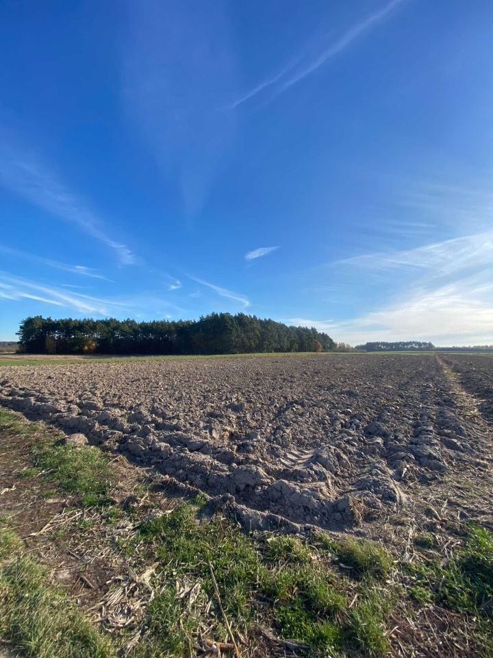 Działka budowlana Długie. Zdjęcie 5