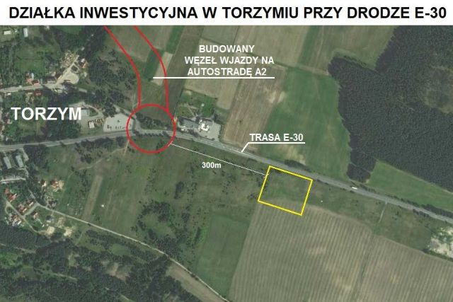 Działka budowlana Torzym. Zdjęcie 2
