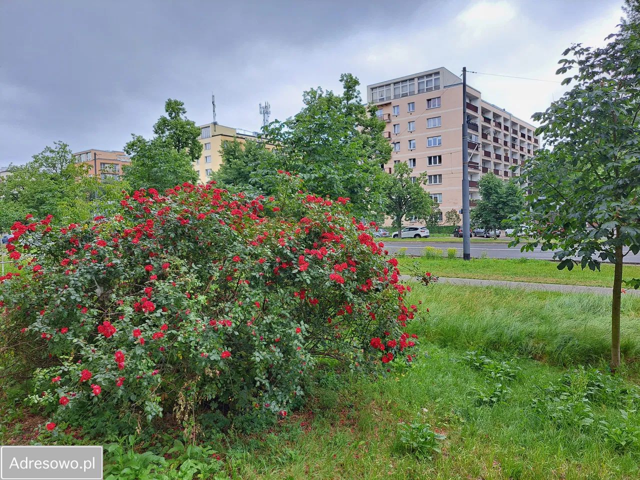 Mieszkanie 1-pokojowe Warszawa Praga-Południe, al. Jerzego Waszyngtona. Zdjęcie 6
