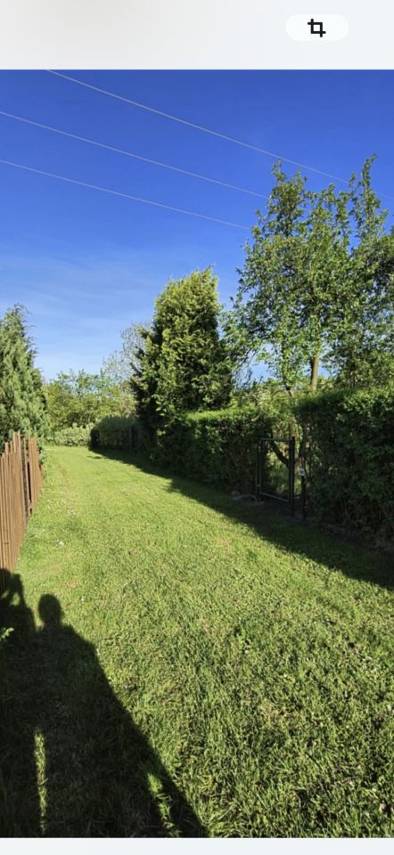 Działka rod Gdańsk Olszynka, ul. Olszyńska. Zdjęcie 7