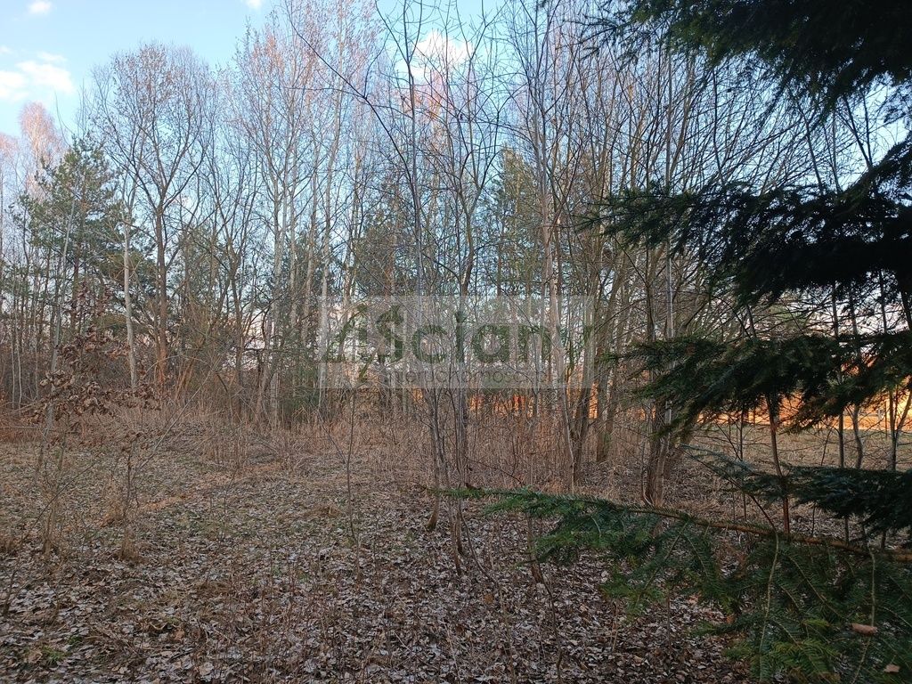 Działka budowlana Ojrzanów. Zdjęcie 11