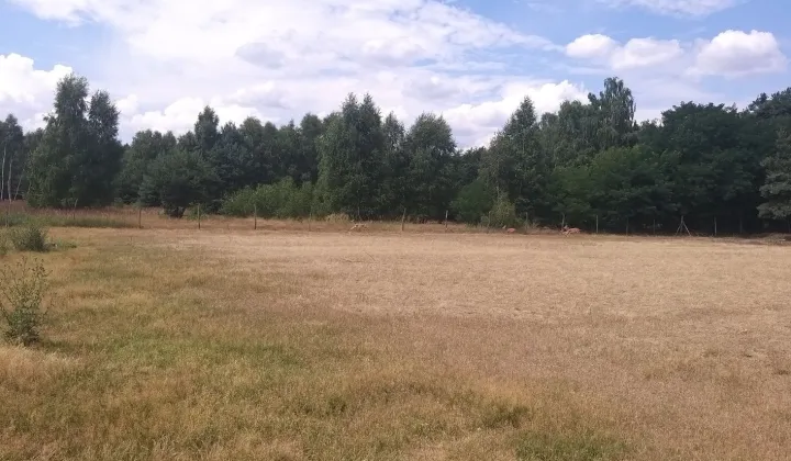 Działka budowlana Żelazo