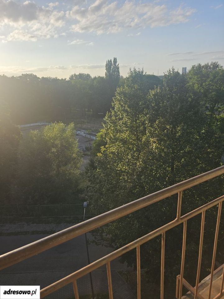 Mieszkanie 1-pokojowe Sosnowiec Sielec, ul. Gabriela Narutowicza. Zdjęcie 4